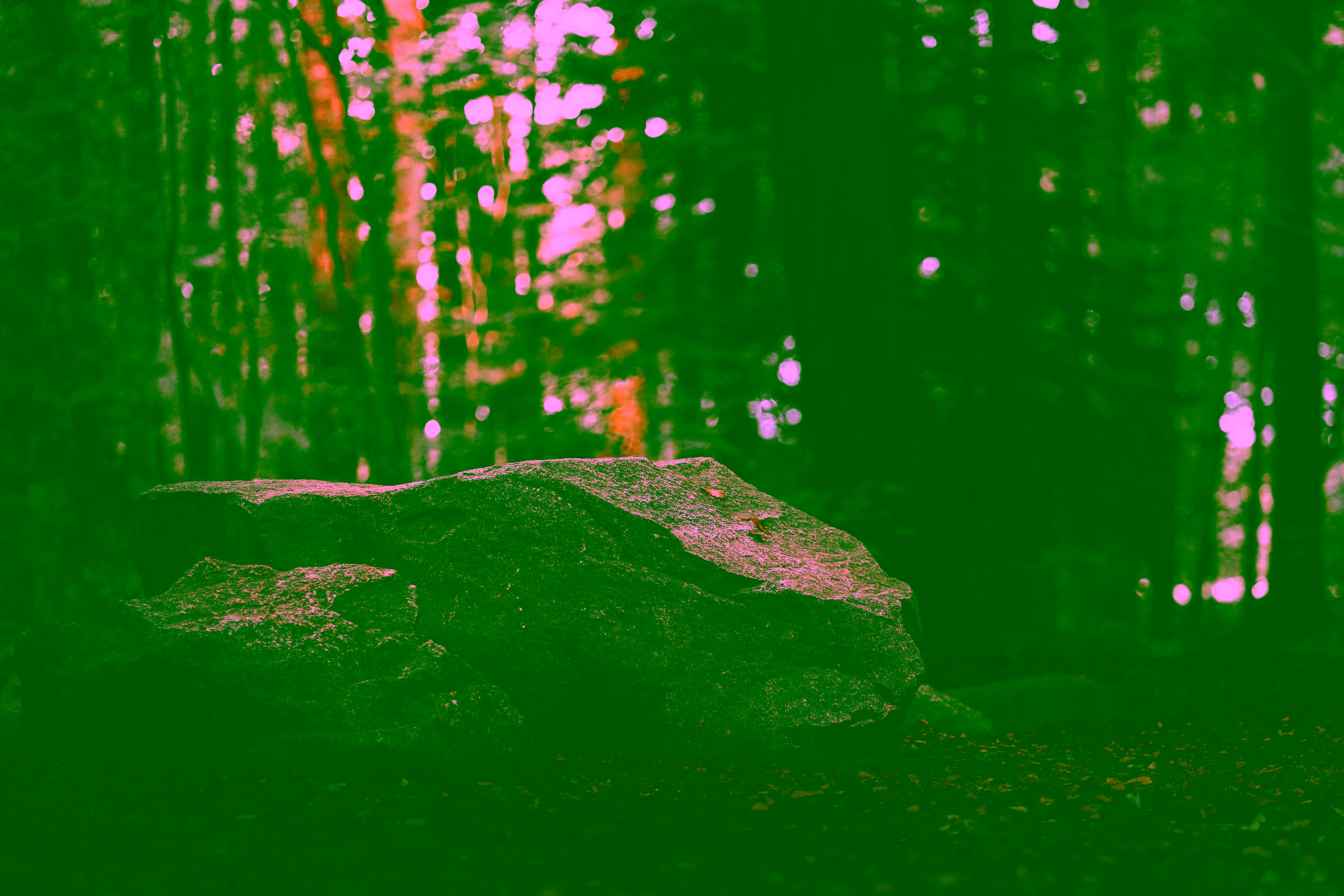 Stone – Fotografie aus dem Bereich Nature von Patrick Thölken